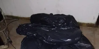 PROCEDIMIENTO DE LA BRIGADA DE ABIGEATO COLÓN