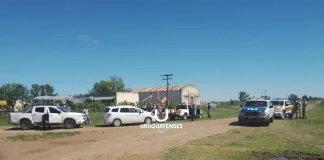 Un Productor Agropecuario notó la faltante de 10 novillos en Colonia Hambis