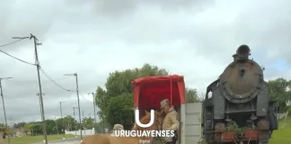 Un nuevo caballo a Tekove Mymba