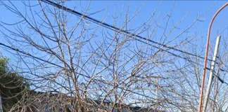 El hijo le efectuó disparos a su propio padre