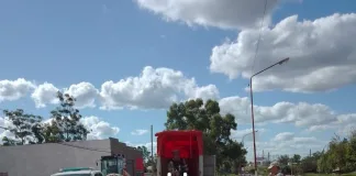 Otro equino y van 106 retirados de la calle