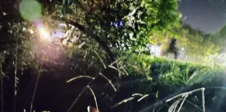 COLÓN: Accidente de Tránsito