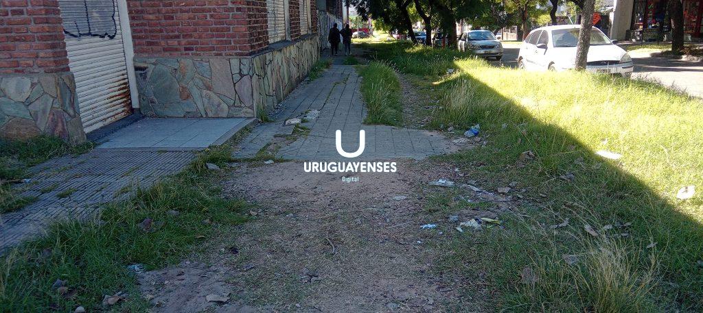 Vecinos reclaman el mal estado de una equina