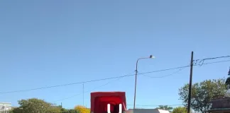 113 caballos retirados de las calles de nuestra Ciudad