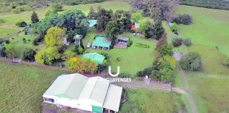 Inquietud e incógnitas por un “santuario multiespecies” en Colón