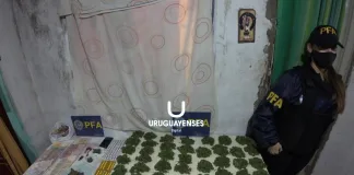 (video) LA POLICÍA FEDERAL ARGENTINA DETUVO A CUATRO PERSONAS ACUSADAS DE NARCOMENUDEO