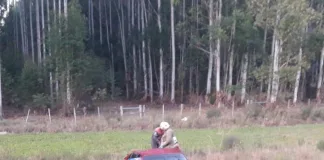 Villa Elisa: Despiste mortal, un joven perdió la vida