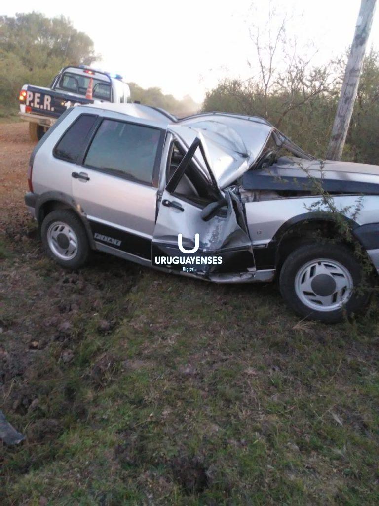 Conductor perdió el control, despisto y volcó