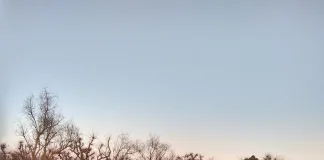 Otro trágico accidente en la ruta 14: Padre e hija murieron tras despistar y volcar el vehículo