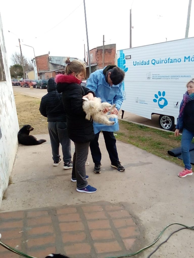 Comenzó a funcionar el quirófano animal móvil