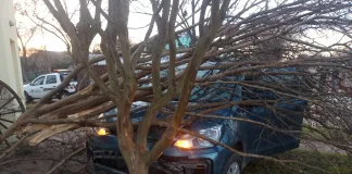 Villa Elisa: Una persona de 75 años se descompenso y chocó