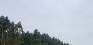 Accidente en el km 203 de la autovía Artigas, dos mujeres resultaron lesionadas