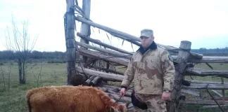 Brigada abigeato Colón, recupera ternero sustraído y detienen al supuesto autor