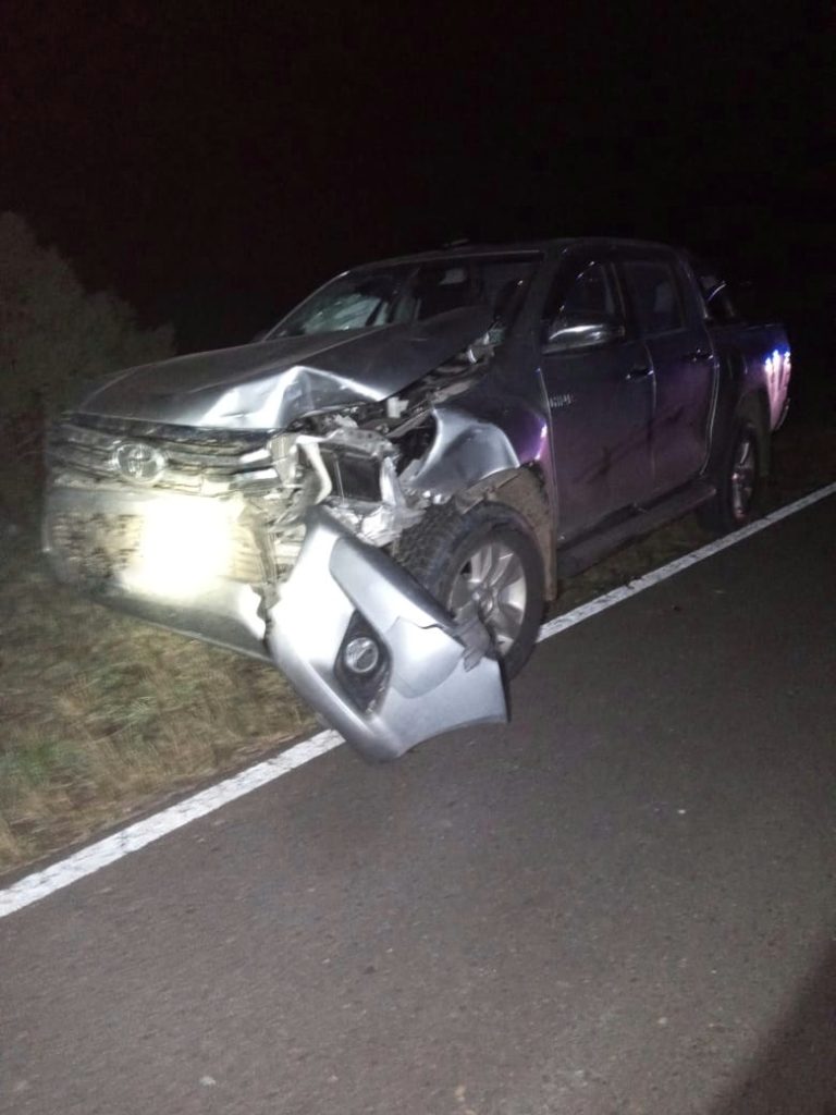 Accidente en el km 34 de la Ruta 23: Masculino resultó ileso luego de  chocar un vacuno con su camioneta