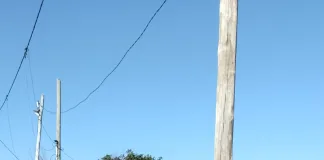 Continúan las actividades culturales y educativas en los SUM