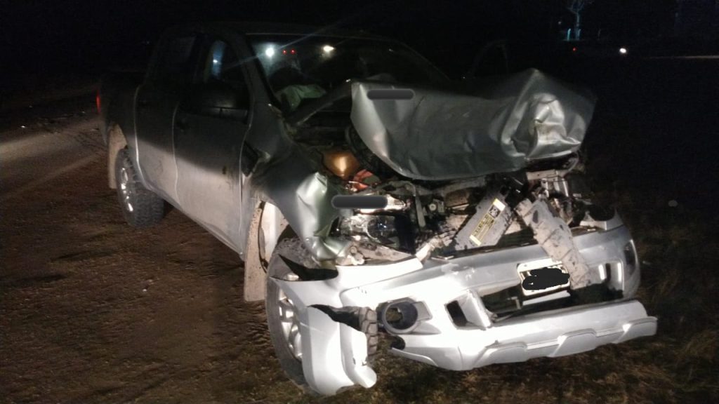 Dos vacunos sueltos provocan un accidente en Ruta Nacional 135