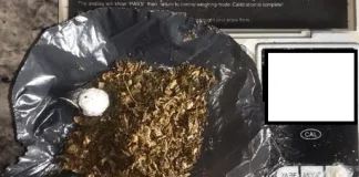 Secuestraron drogas en dos allanamientos