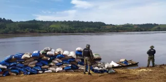 Prefectura secuestró más de 10 toneladas de granos en Misiones