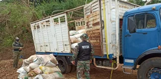 Misiones: secuestramos siete toneladas de soja que iban a ser exportadas ilegalmente