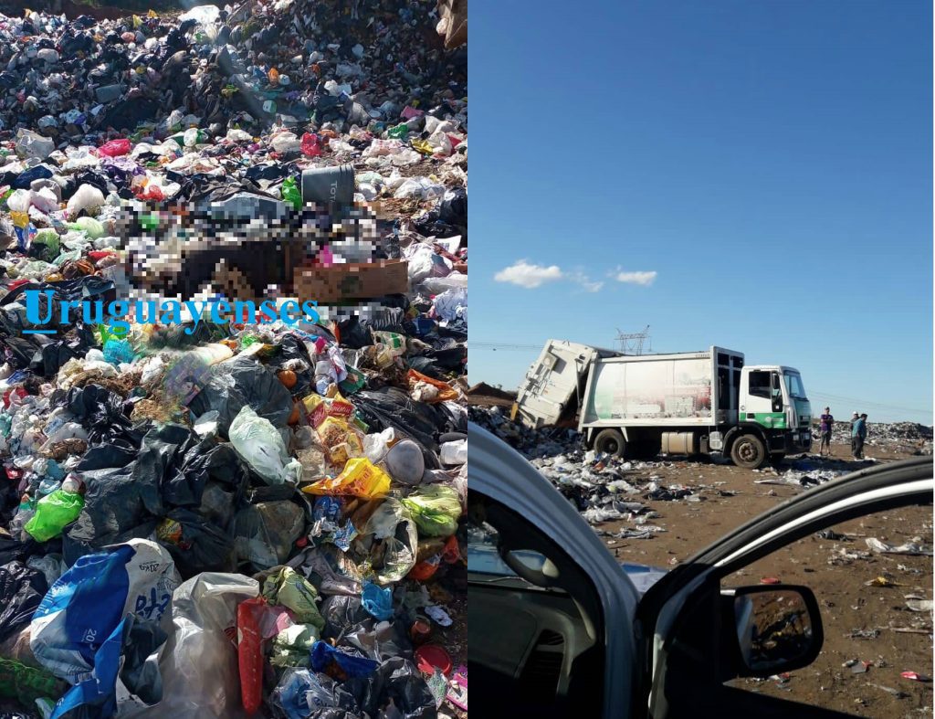 Un hombre murió en el Campo de Abasto por aplastamiento,  cuando un camión de residuos descargaba  los desechos