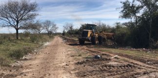 Personal municipal realiza tareas de mantenimiento y limpieza en la avenida Tabella