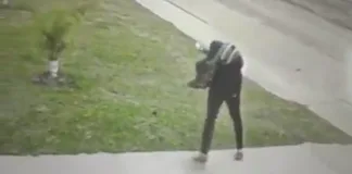 Dos policías salvaron la vida de un niño de dos años