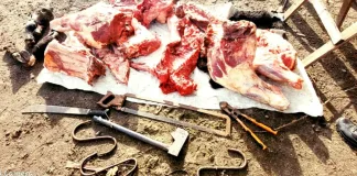 Realizaron un allanamiento por el robo de una moto y se encontraron con animales faenados