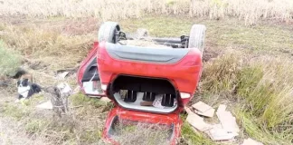 Un vehículo volcó en la autovía con dos ocupantes y 2 perros