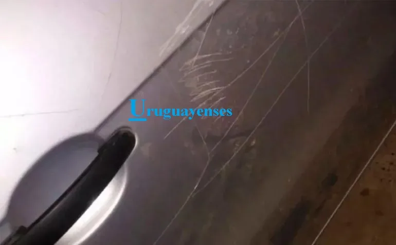 A una concejal entrerriana le dañaron su auto y le dejaron un mensaje agraviante