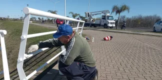 Realizan tareas de mantenimiento en la Isla del Puerto