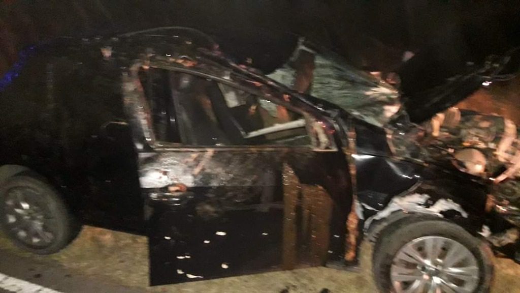 Un auto con cuatro ocupantes chocaron con un animal suelto
