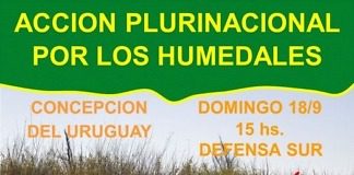 Acción plurinacional por los humedales, habrá actividad el domingo en la defensa sur