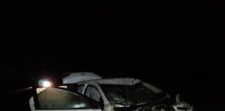 Un vehículo chocó un animal suelto en la Autovía