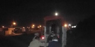 Prosiguen los operativos del retiro de equinos de la calle