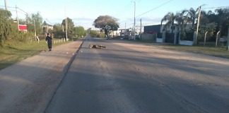 Colón: Adolescente resulta lesionado luego de caer con su moto