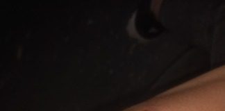 Concepción del Uruguay: Una joven recibió un ladrillazo cuando iba en colectivo