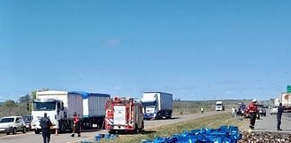 Un camión cargado de cerveza volcó su carga en la Autovía, producto del choque con un vehículo