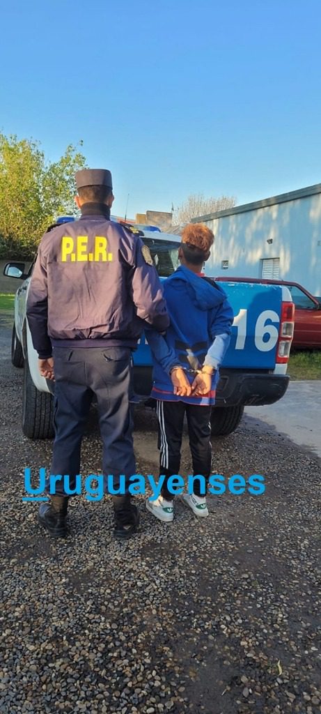 Ladrón sorprendido por el dueño de la vivienda