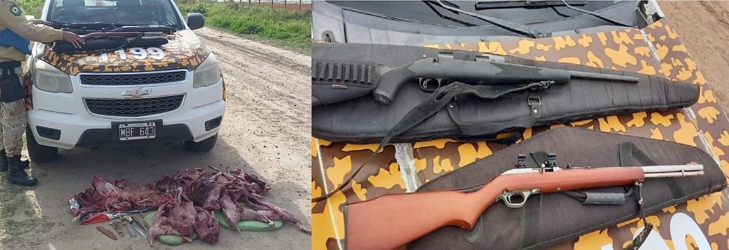 Interceptan a dos  furtivos de Buenos Aires, con gran cantidad de especies silvestres faenadas y secuestro de armas de fuego