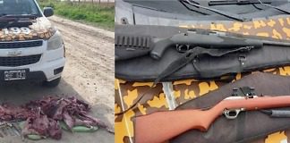 Interceptan a dos furtivos de Buenos Aires, con gran cantidad de especies silvestres faenadas y secuestro de armas de fuego