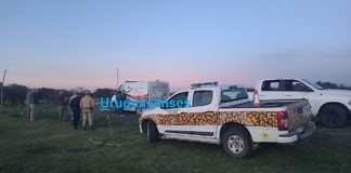 Un búfalo mató a un mexicano que cazaba en un Coto