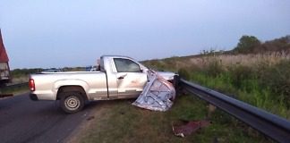 Una camioneta chocó dos caballos que estaban sobre la ruta