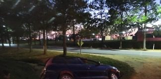 Esquivo dos motos y terminó en una zanja