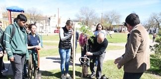 Continúan con la plantación de árboles en la zona costera