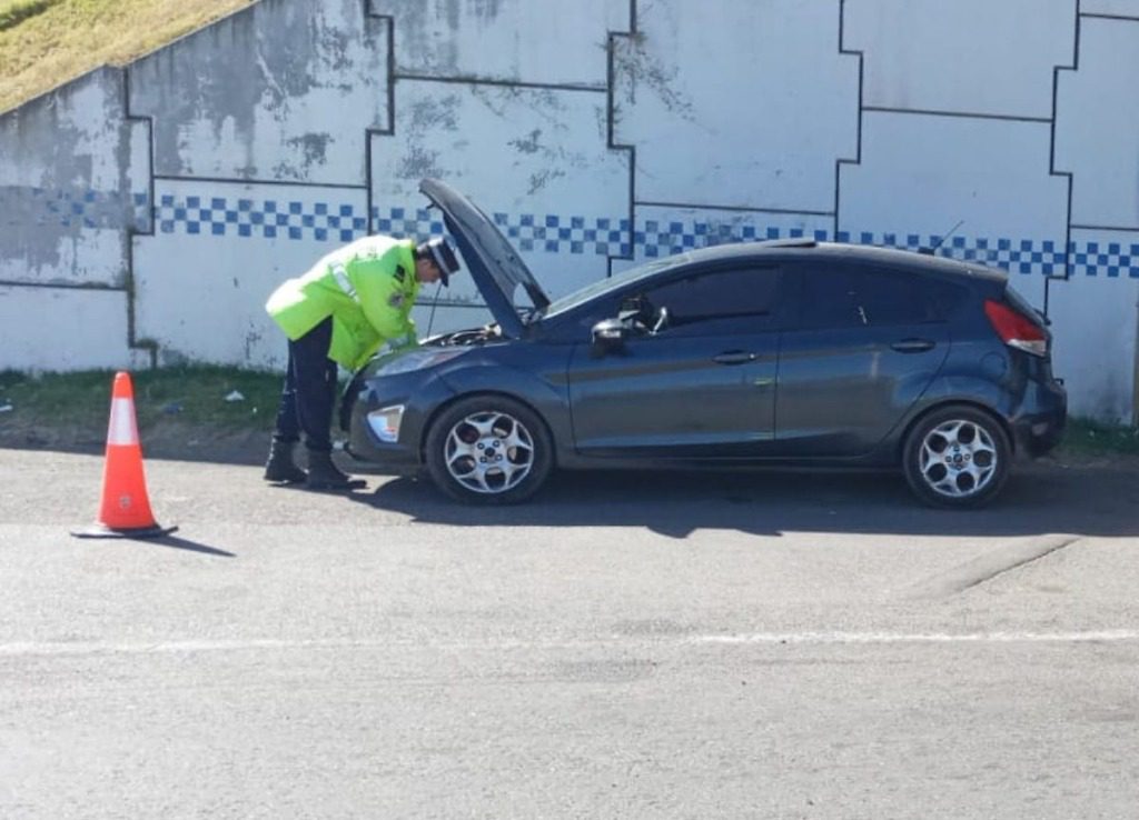 Secuestro de un vehículo con documentación apócrifa