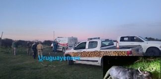 La persona fallecida por un Búfalo, era Abogado y Experto cazador