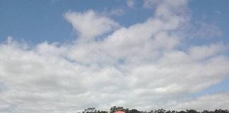 Otro caballo retirado de la calle