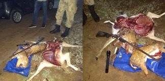 Gualeguaychú – Realizan dos procedimientos de caza furtiva