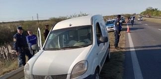 Detenidos por llevar un ternero en una Kangoo