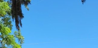 Asociación de hoteleros y gastronómicos de Colón entrega a la Jefatura Departamental un Smart Tv 65”